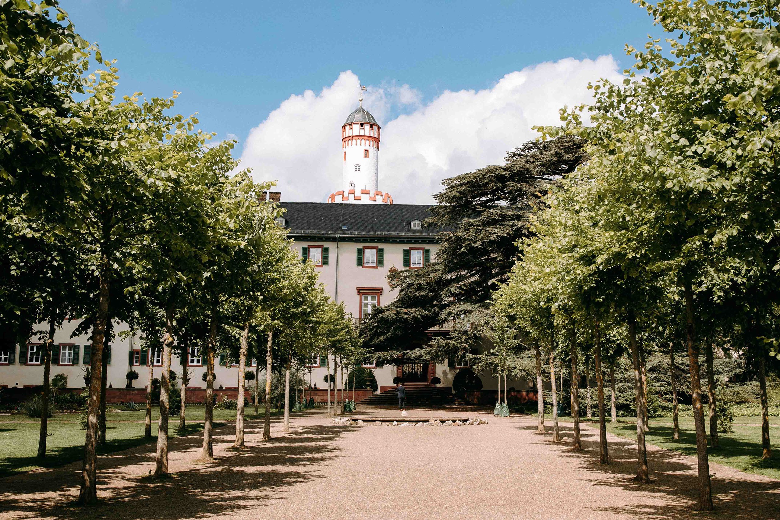 Baumgesäumter Weg zum Schloss Bad Homburg – perfekte Hochzeitslocation im Weissen Saal