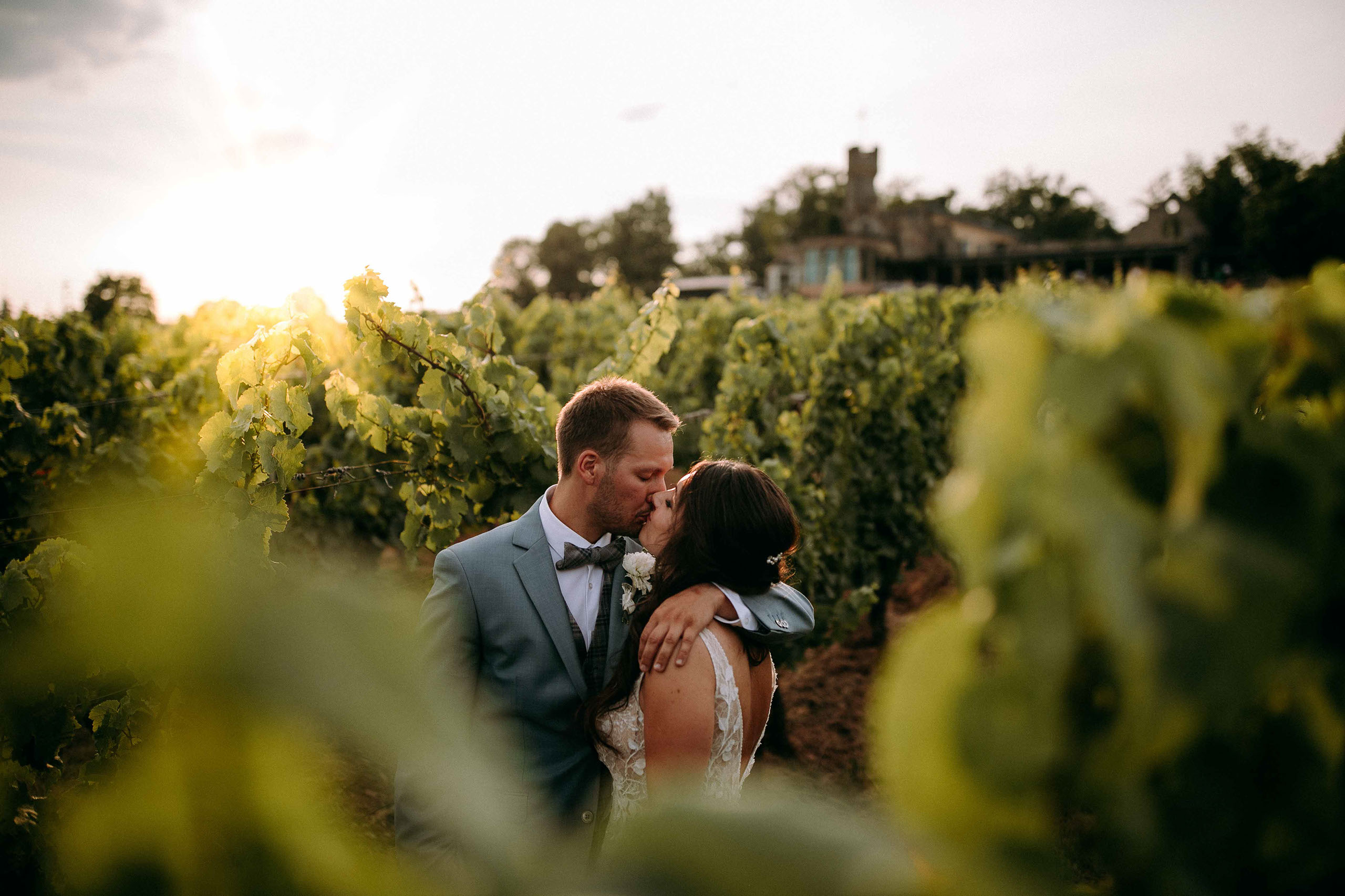Kuss des Brautpaares bei Sonnenuntergang zwischen Reben nahe Burg Schwarzenstein im Rheingau.