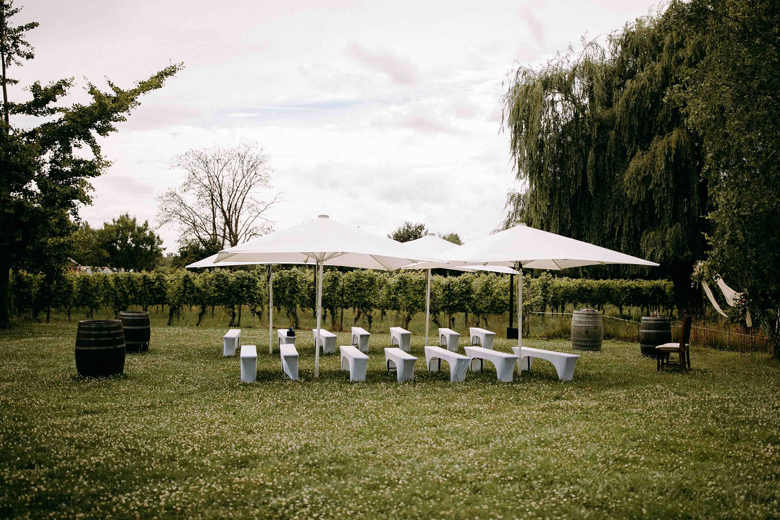 Festlich dekorierte Traulocation im Weingarten vom Baron Knyphausen Draiser Hof