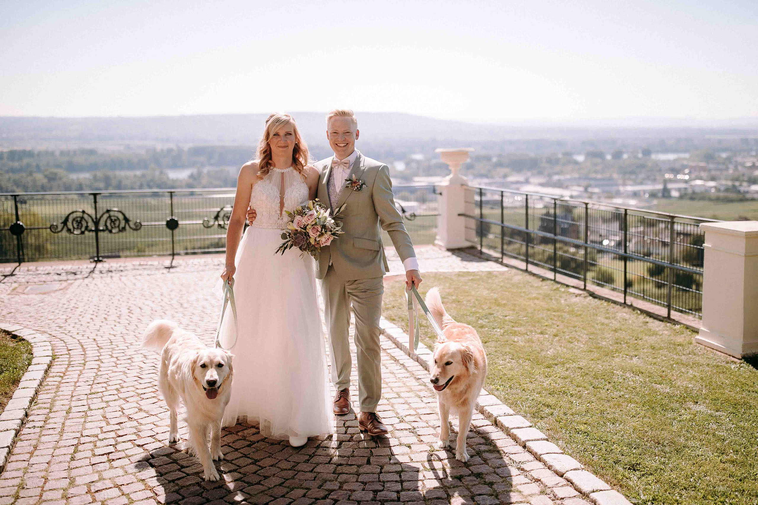 Brautpaar mit zwei Hunden vor dem Ausblick über das Rheintal, romantische Szene bei der Hochzeit auf Schloss Johannisberg