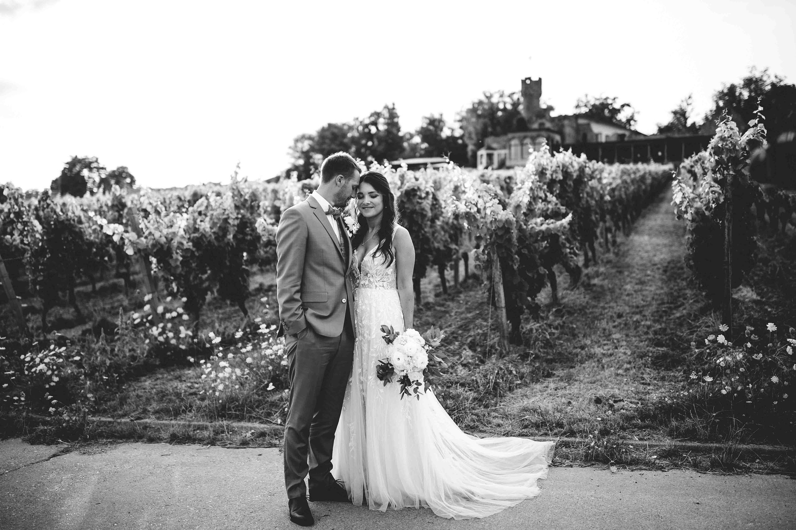 Braut und Bräutigam stehen verträumt zwischen Weinreben vor der Burg Schwarzenstein – Hochzeitsfotograf Rheingau.