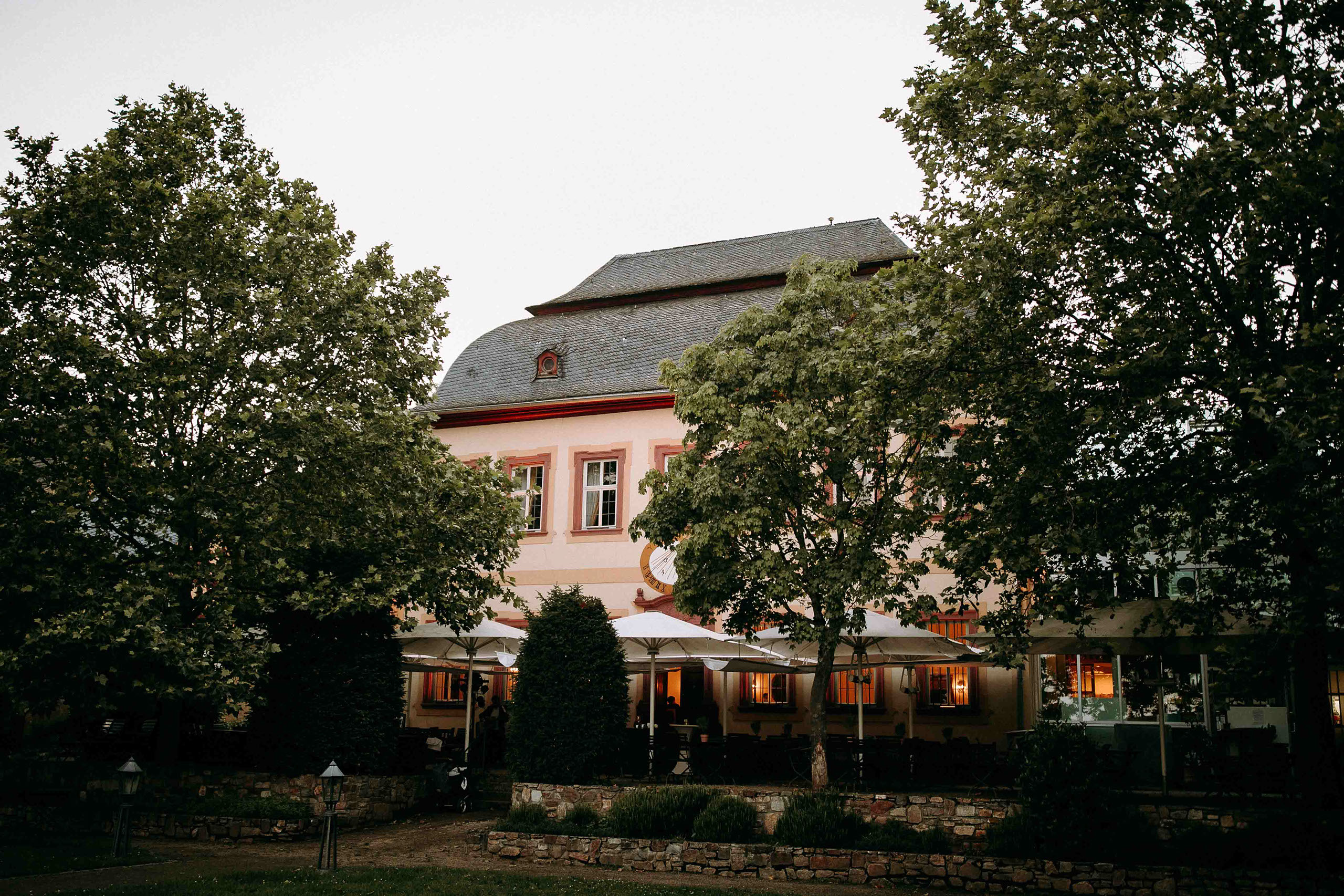 Schloss Vollrads zwischen Bäumen im Abendlicht