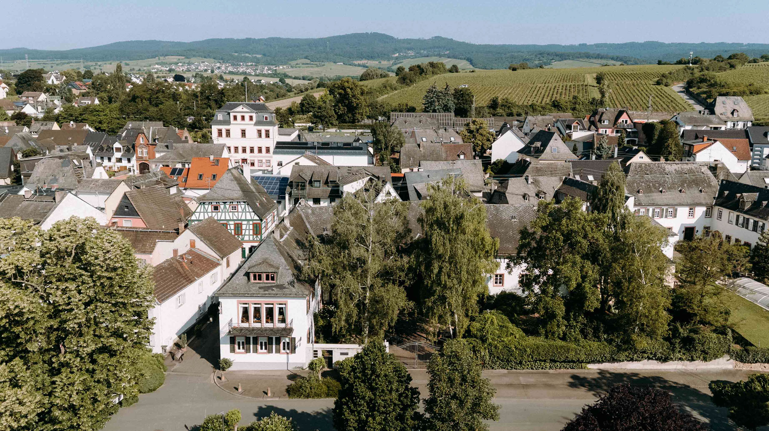 Panoramablick auf das Weingut Balthasar Ress eingebettet in Hattenheim mit Fachwerkhäusern und Reben – fotografiert vom Hochzeitsfotografen.