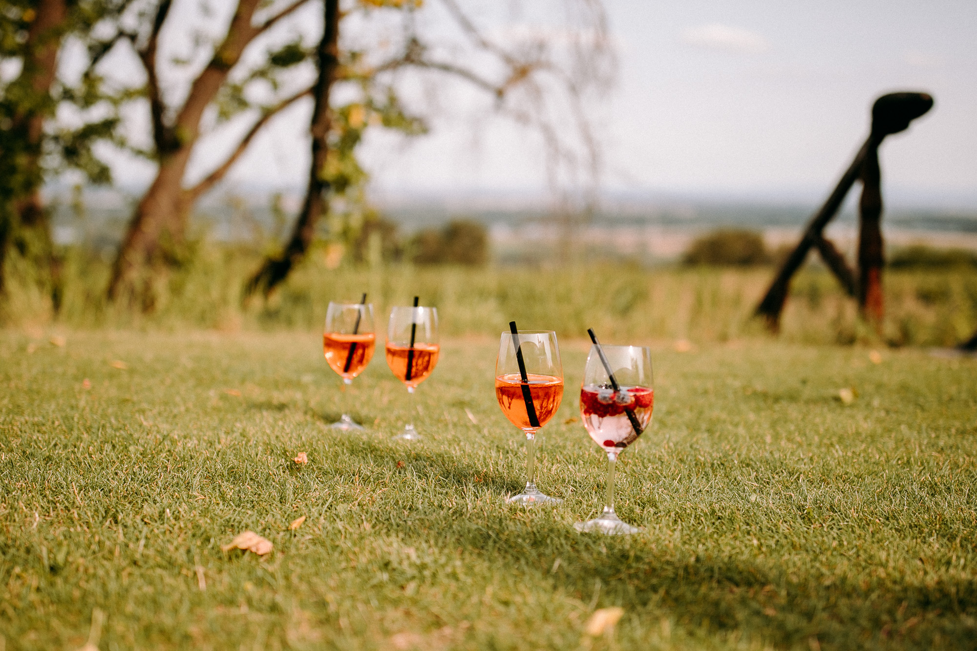 Hofgut Laubenheimer Höhe: Hochzeitslocation in Mainz mit Rheinblick, Sonnenterrasse & Fullservice. Perfekt für freie Trauungen & stilvolle Feier