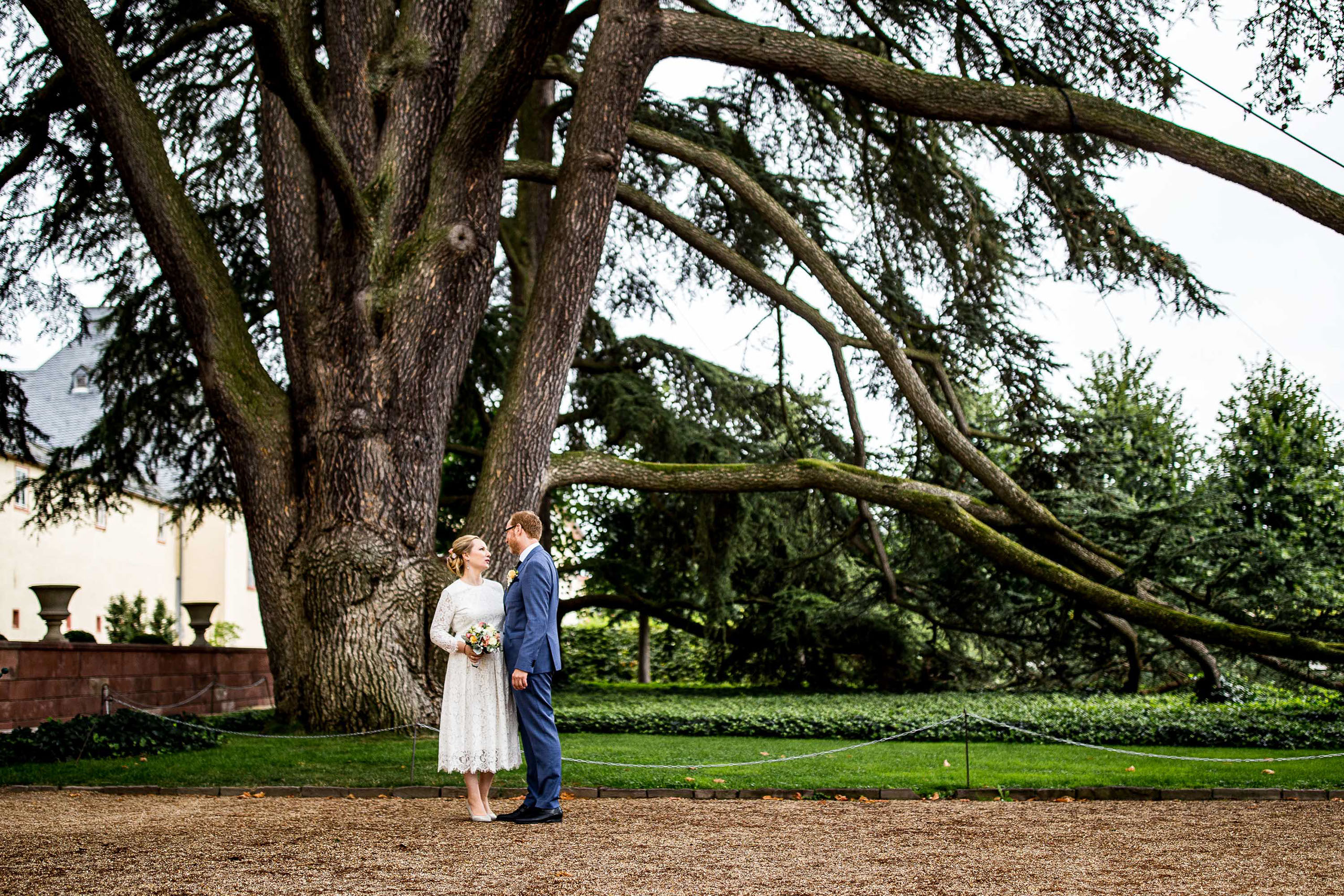 Standesamt Bad Homburg Hochzeitsfotograf Im Louissaal Im Schloss Bad Homburg